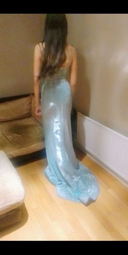 Dani's Showroom Debs Dress/TY Ball Dress