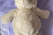 Buddy balls teddy