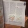 Introducing Tectonics, Rock Structures and Mountain Belts (Introducing Earth.(Paperback) Image 10