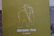 Damien Rice CD - B-Sides