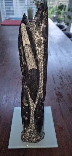 Fossil
