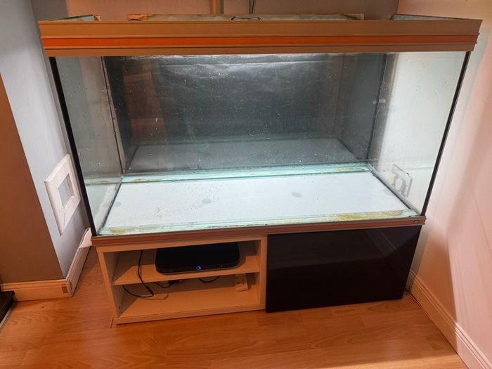 Free fish tank