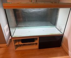 Free fish tank