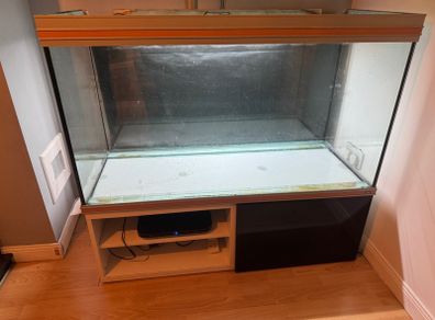 Free fish tank