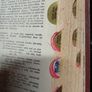 The Standard Book of Essential Knowledge Image 5