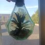 Glass plant ornament Image 4