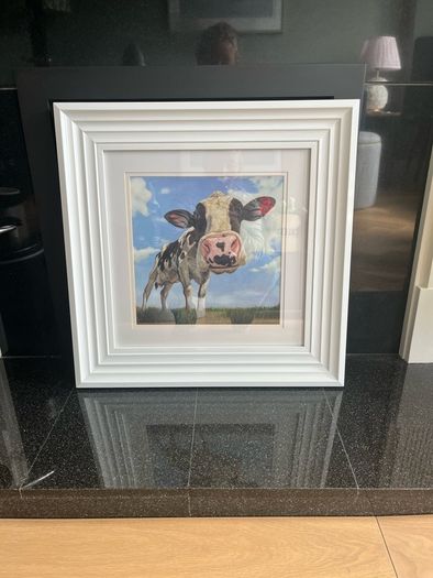 Framed picture - cow