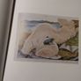 Pauline  Bewick    Artist Image 9