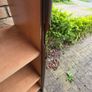 Book Shelf Image 3