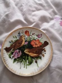 dectrife plate