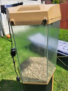 fish tank