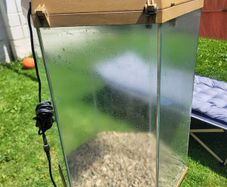 fish tank