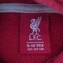 Liverpool hoodie Image 2