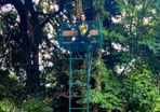 high seat