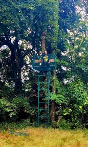 high seat