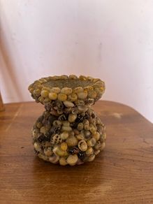 Seashell Vase