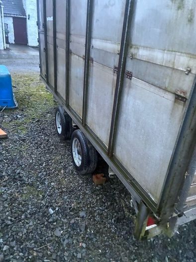 12-5 cattle trailer