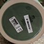Home decor Carolyn Donnelly articula plant Image 6
