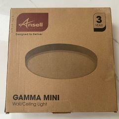 Wall/Ceiling Light