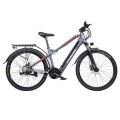 Randride Y90u Electric Bike