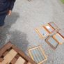 bees Image 2