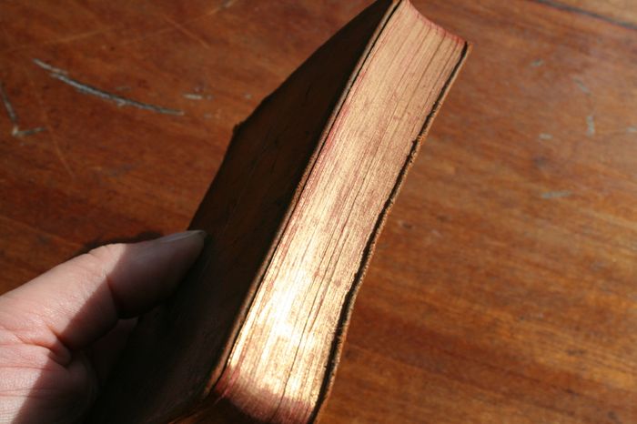 The Book of Common Prayer, Sacraments of Rites, Protestant Episcopal Church, NY Oxford Univ. Prayers, Psalms & Lessons