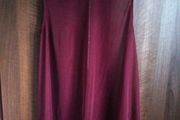 Brand New Wine Sheer Top