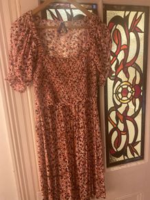 seraphine maternity and nursing dress