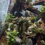 fluval flex Image 6
