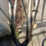 cbr1000f stainless 4 into 2 plus can Image 2