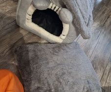 Pet House / Bed