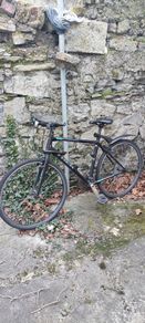 Trek Bike