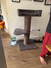 cat tree