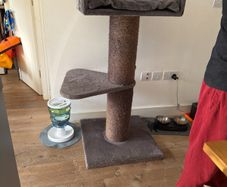cat tree