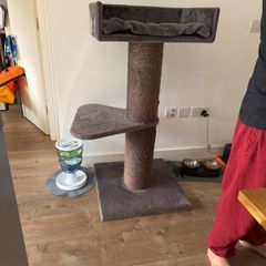 cat tree
