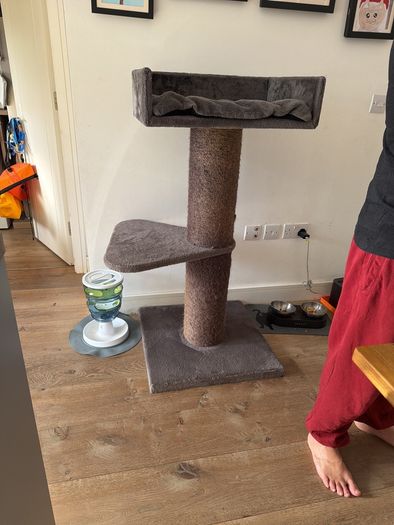 cat tree