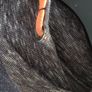 122 cm boy blouse 9 each or 2 for 15  not much worn Image 2