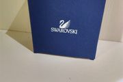 Empty Box Swarovski Earrings