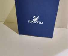 Empty Box Swarovski Earrings