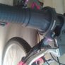 Girls Bike Image 7