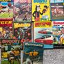 Various Annuals Image 2