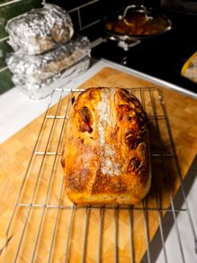 sourdough starter