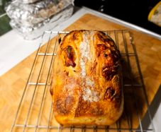 sourdough starter