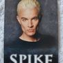 Buffy The Vampire Slayer Rare Trading Cards BTVS Image 6