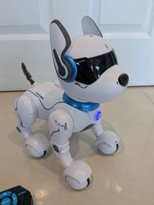 Ziggy Robo Dog