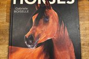 Horse Book
