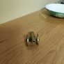 Vintage Brass Paperweight. Image 2