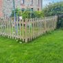 Dog Run / Play Pen Image 4