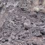 Well mature Manure Image 5