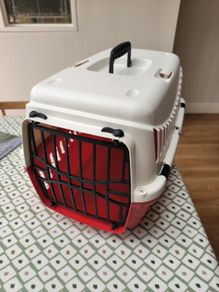 pet transporters